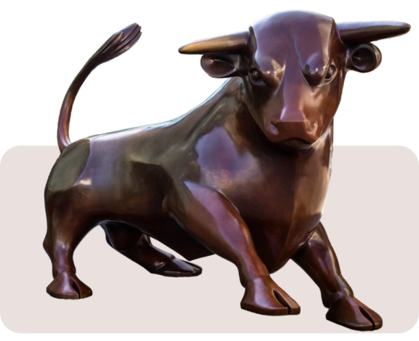 bull-birmingham-about